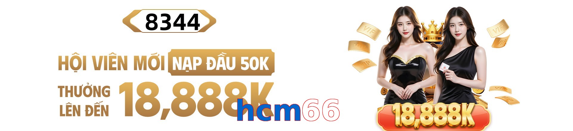 hcm66